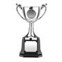 Nickel Plated Trophy thumbnail